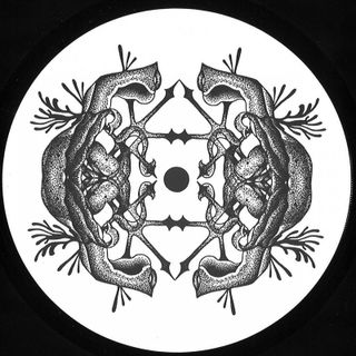 _Asstnt, Roll Dann — EMERGENCY BREAK vinyl cover