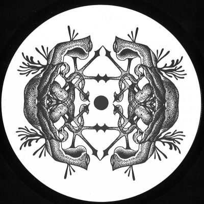 _Asstnt, Roll Dann — EMERGENCY BREAK vinyl cover