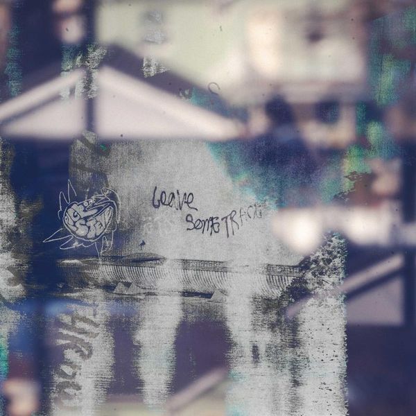 Pigeon Steve — LEAVE SOME TRACE vinyl cover