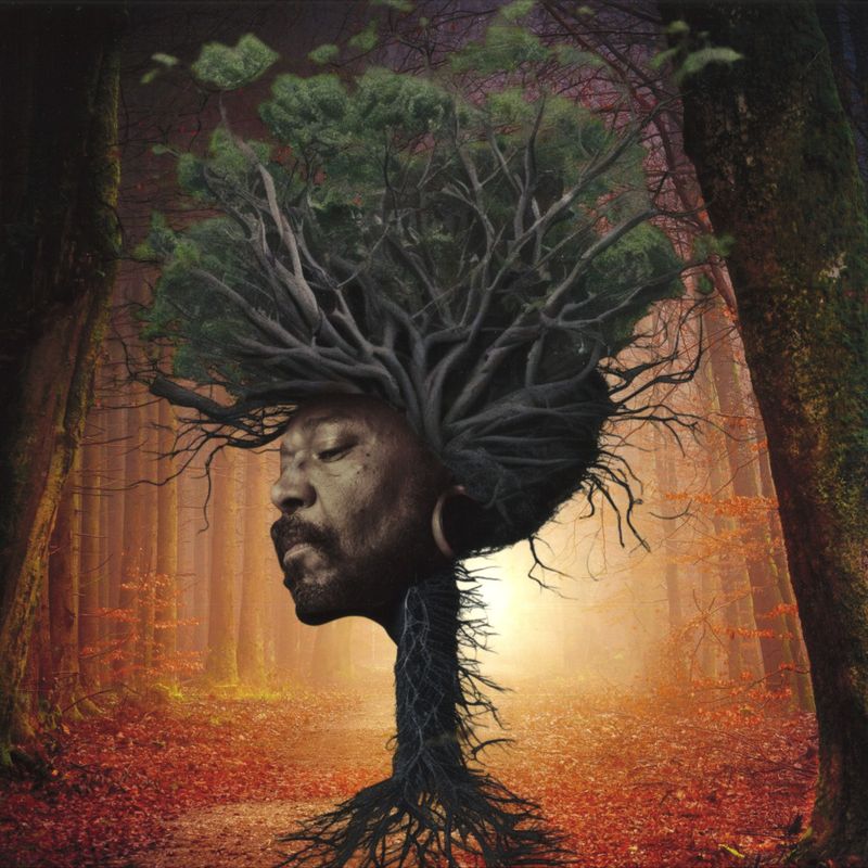Osunlade — Inner Garden vinyl cover