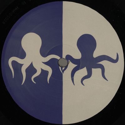 Earth Trax — Amnesia EP vinyl cover