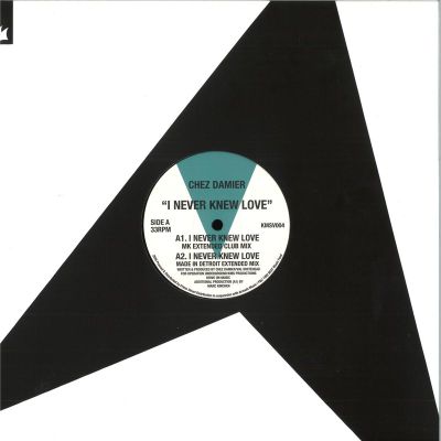 Chez Damier — I Never Knew Love vinyl cover