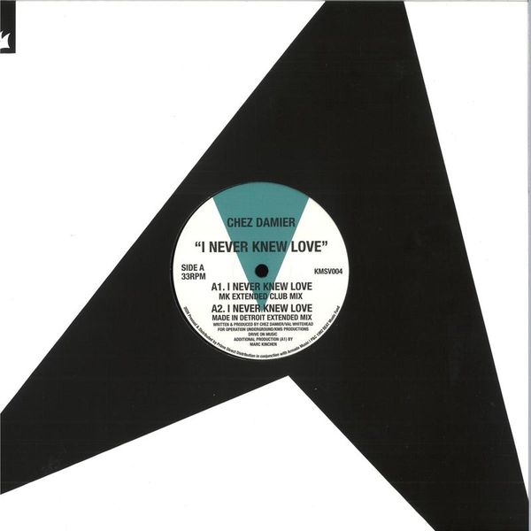 Chez Damier — I Never Knew Love vinyl cover