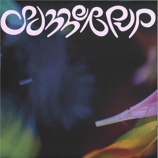 D.dan — summerpup vinyl cover