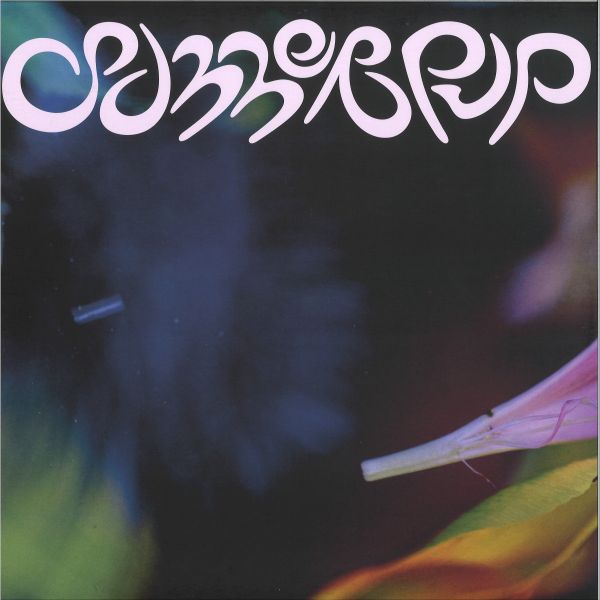 D.dan — summerpup vinyl cover