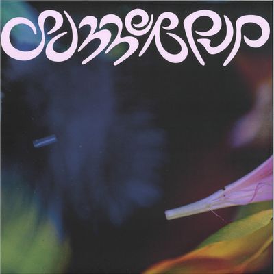 D.dan — summerpup vinyl cover