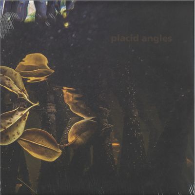 Placid Angles — Touch The Earth 3x12" vinyl cover