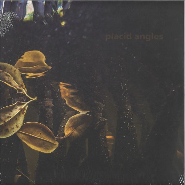 Placid Angles — Touch The Earth 3x12" vinyl cover