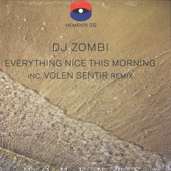 Dj Zombi — Everything Nice This Morning vinyl cover