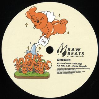 Various — Rawbeats Extrasensorial 003 vinyl cover