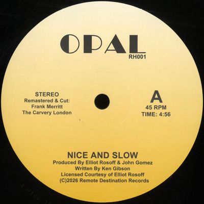 Opal — NICE AND SLOW vinyl cover