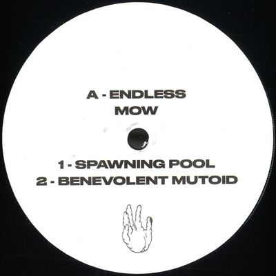 Endless Mow, Simkin — Spawning Pool/Bag of Frogs vinyl cover