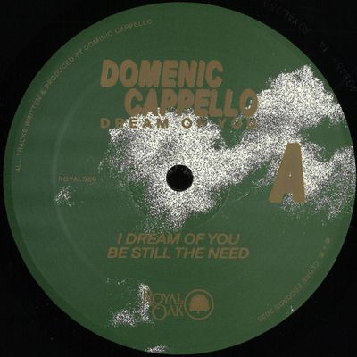Domenic Cappello — Dream Of You vinyl cover