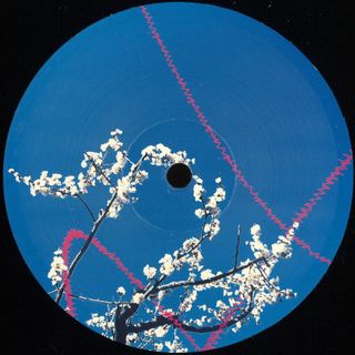 Extra — Flowerchild vinyl cover