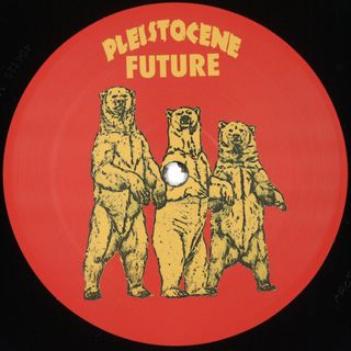 Lenson, 543Ff — Pleistocene Future 8 vinyl cover