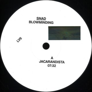 Snad — Blowminding vinyl cover