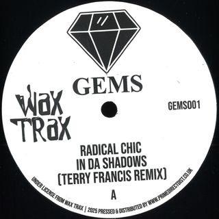 Radical Chic, Space Bunny — In Da Shadows/The Key vinyl cover