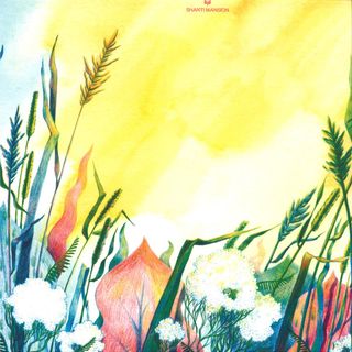 Planet Funk, G.Pal — Shanti Remixes vinyl cover