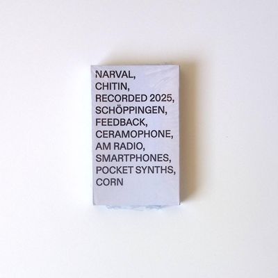 Unknown Artist — Chitin (TAPE) vinyl cover