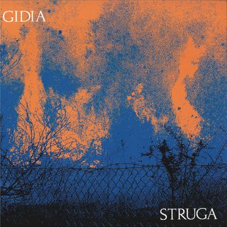 Gidia — STRUGA LP 2x12" vinyl cover