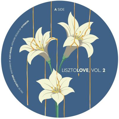Various — Lisztolove Vol. 2 vinyl cover