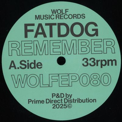 Fatdog — Remember vinyl cover