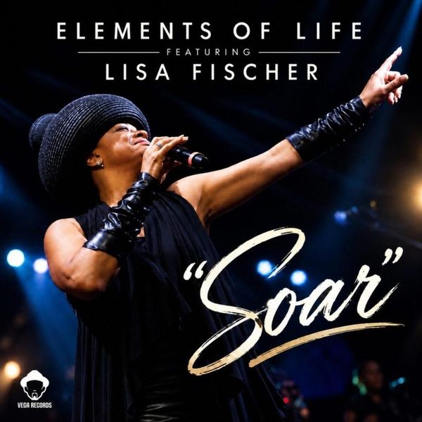 Elements Of Life Featuring, Lisa Fischer — Soar vinyl cover