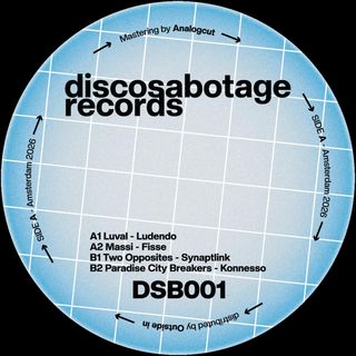 Luval, Massi, Two Opposites, Paradise City Breakers — DSB001 V.A V1 vinyl cover