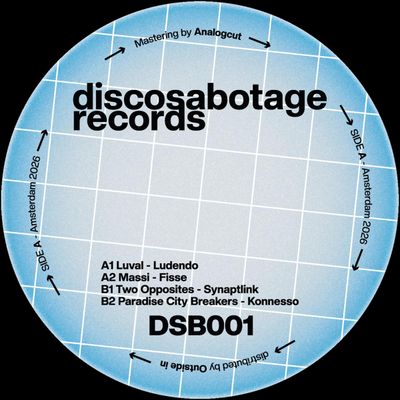 Luval, Massi, Two Opposites, Paradise City Breakers — DSB001 V.A V1 vinyl cover