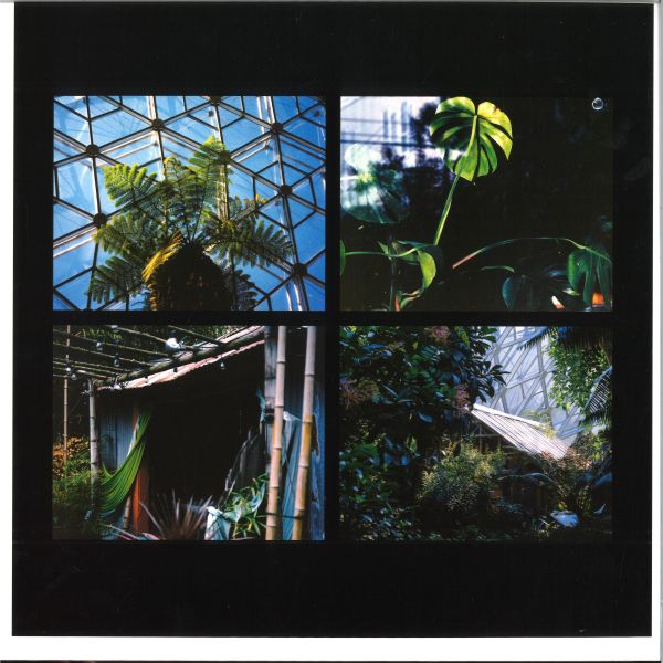 William Selman — THE WEATHER INDOORS vinyl cover