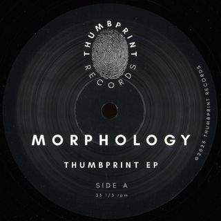 Morphology