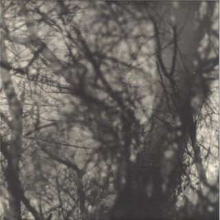 Grouper — Way Their Crept LP vinyl cover