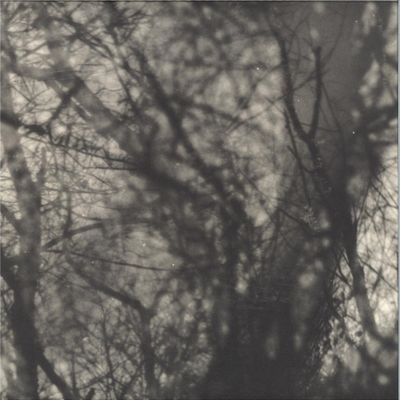 Grouper — Way Their Crept LP vinyl cover