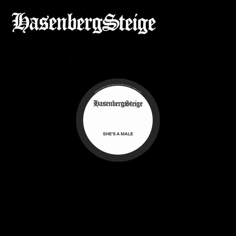 Hasenbergsteige — SHE'S A MALE EP vinyl cover