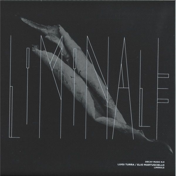 Luigi Turra, Elio Martusciello — Decay Music n.9: Liminale vinyl cover