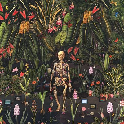 Vinkepeezer — EVERYTHING IS A FREQUENCY LP vinyl cover