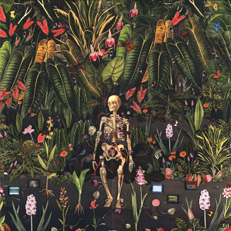 Vinkepeezer — EVERYTHING IS A FREQUENCY LP vinyl cover