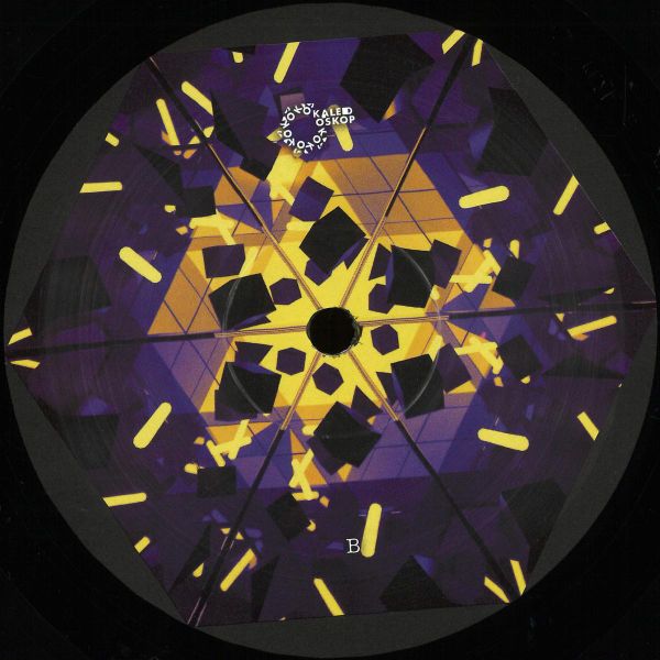 David Nicolas, Jan Golly — Hide Out Brothers EP vinyl cover