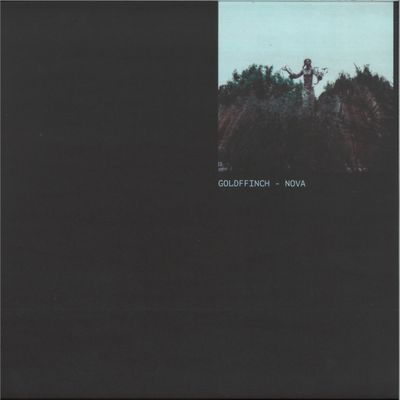 Goldffinch — Nova EP vinyl cover