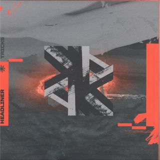 Not A Headliner — FAKE TRICKS vinyl cover