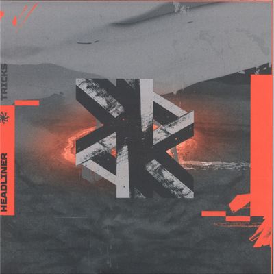 Not A Headliner — FAKE TRICKS vinyl cover