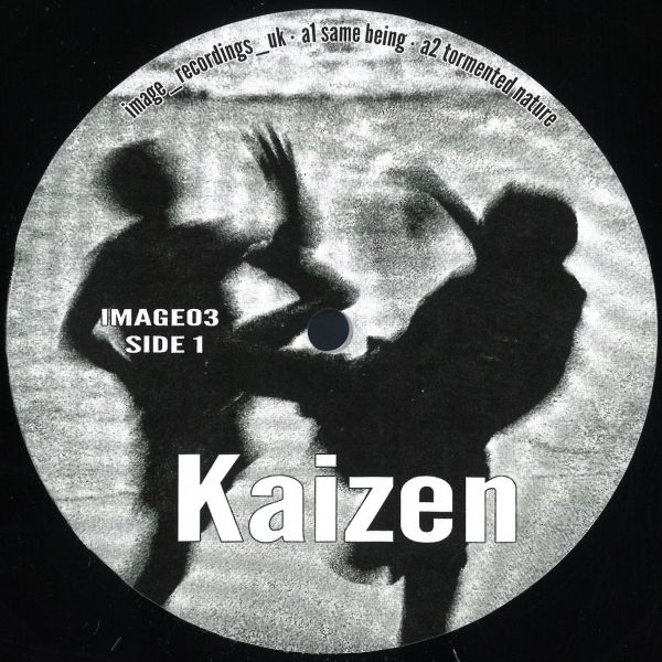 Other — Kaizen EP vinyl cover
