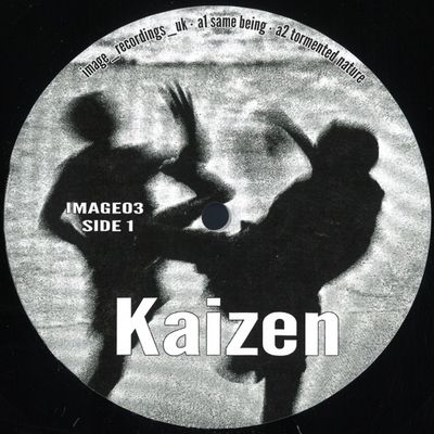 Other — Kaizen EP vinyl cover
