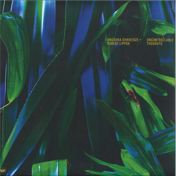 Anushka Chkheidze, Robert Lippok — Uncontrollable Thoughts vinyl cover