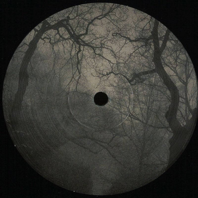 Drvg Cvltvre — Dark Omen vinyl cover