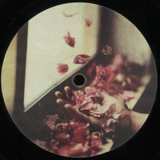 Petre Inspirescu — Vfntul Prin Salcii LP 2x12" vinyl cover