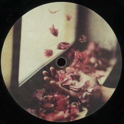 Petre Inspirescu — Vfntul Prin Salcii LP 2x12" vinyl cover