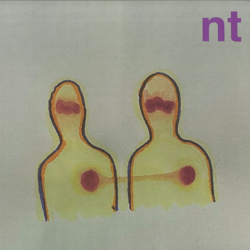 Nt — NT vinyl cover