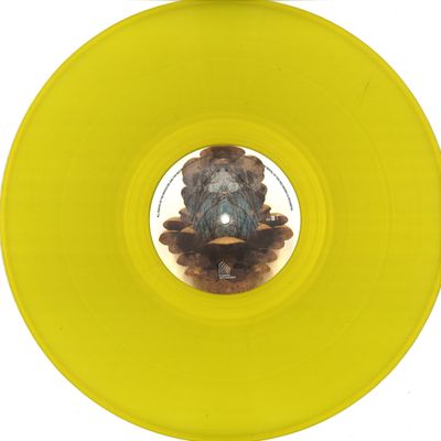 Plant43 — Reflection/Reaction Part Two vinyl cover