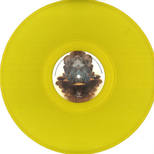Plant43 — Reflection/Reaction Part Two vinyl cover